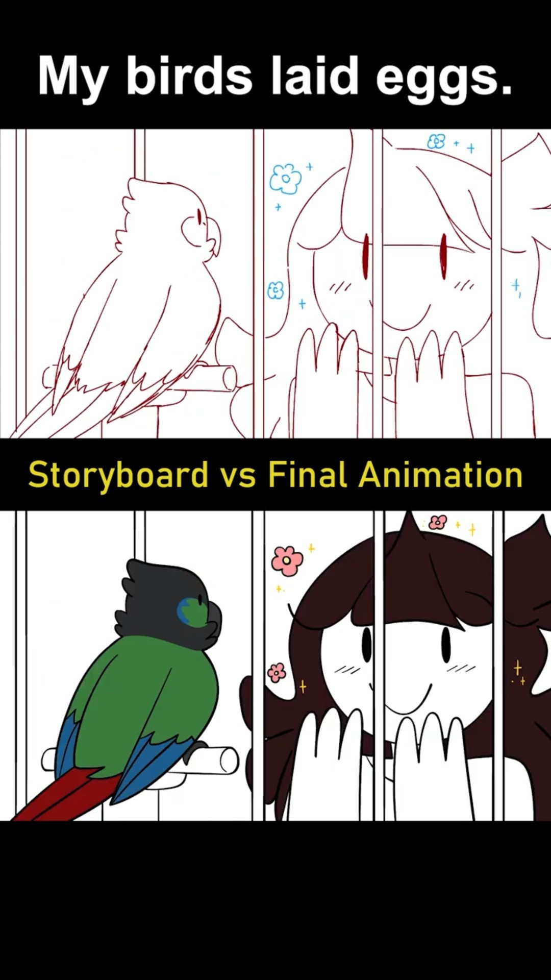 Storyboard vs Animation: My Birds Laid Eggs (shot 9)