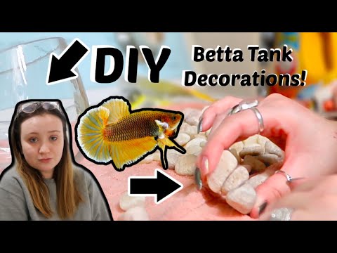 DIY FISH TANK DECORATIONS!, How to diy decor for your betta tank!