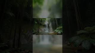 Hidden Jungle Waterfall 🌿 Deep Sleep, Relaxation &amp; Nature Sounds 💧