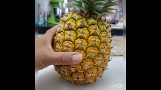 My 1st pineapple or nenas