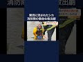 濁流から鳴き声…流されていたのはシカの赤ちゃん アメリカ #shorts