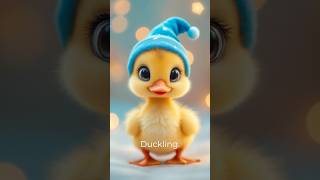 Why Do We Dream? 🌙 The Science Behind Sleepy Stories