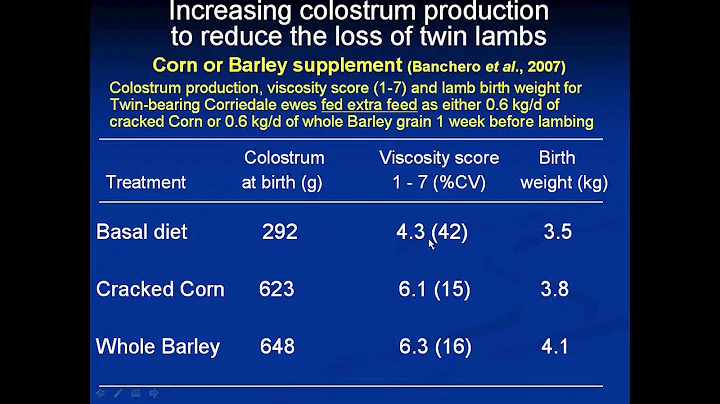 Nutritional management of spring lambing Merinos. Part 4: Reducing the loss of twins around birth