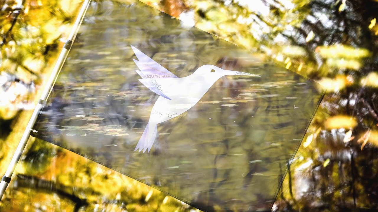 The Flixel Flag Project / Slovakia (11/2017)