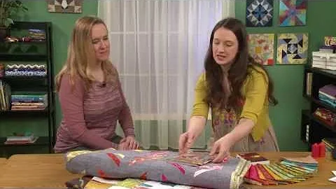 Meet the Artist: Alison Glass (Fabric & Quilt Desi...