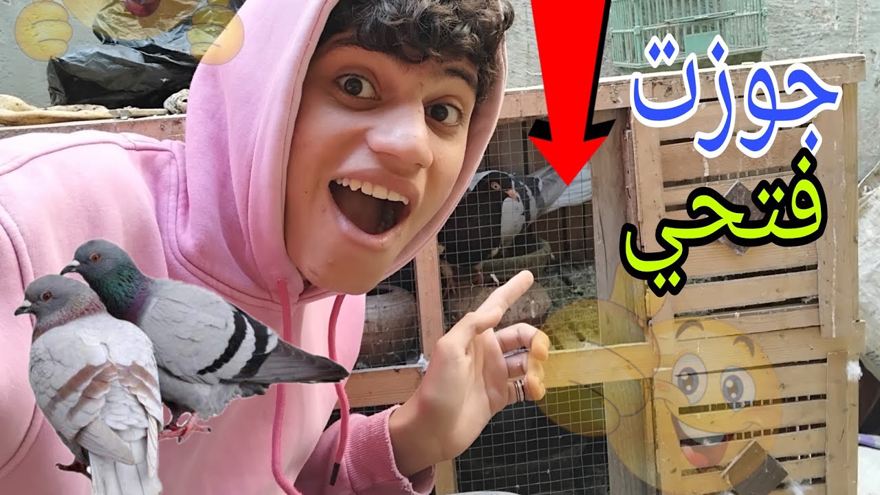 جوزت فتحي اخيرا 🥳بس حصل ايه عند الحمام/🤔الكلب أكل الحمام 😱