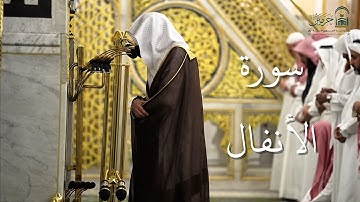 سورة الأنفال | المصحف الصوتي والمرئي من صلاتي التراويح والتهجد بالمسجد النبوي لعام 1446هـ.