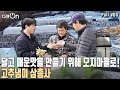 집에서 3년간 실험! 성공 후 오지마을로 들어갔다? 한우보다 비싼 농작물 고추냉이 근경 재배를 위해 뭉친 삼총사의 농사일기! [다큐온 KBS 20210312 방송]