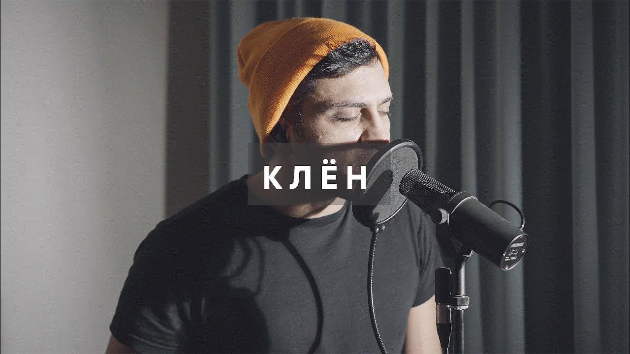 птицы кавер