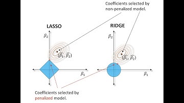 Lasso for covariate selection in capture-recapture models