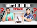 WHAT'S IN THE BOX CHALLENGE | Viwa Brothers