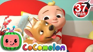 My Dog Song   More Nursery Rhymes & Kids Songs - CoComelon