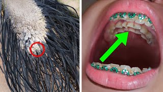 10 Craziest Things You&#39;ve Probably Never Seen Before!
