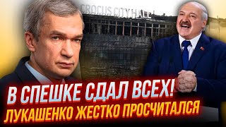 ⚡Випливла ПІДСТАВА з Крокус СІТІ! ЛАТУШКО: Лукашенко з собакою ГРОЗИТЬ Заходу, всі сміються, рф у...