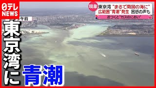 【ナゼ？】東京湾で”青潮”発生  漁業への影響懸念