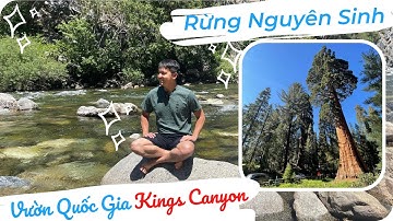 Vườn Quốc Gia Kings Canyon Rừng Nguyên Sinh tại California Mỹ | TUẤN YẾN OFFICIAL