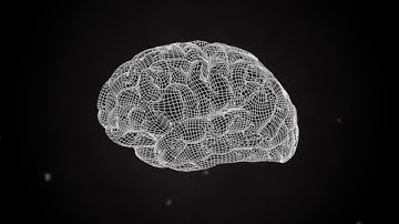 [Motion Graphic] Brain