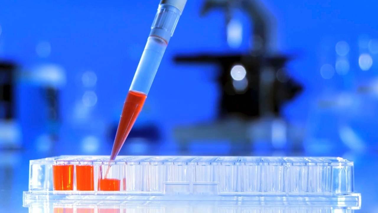2016 Will Be Huge in Fight Against IBS Says Synthetic Biologics CEO
