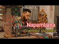 Diamond platnumz ft jay melody  napambana  official 