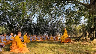 Kinh NIKAYA Giảng Giải - Niệm Phật Niệm Pháp Tối Thượng ?( Sáu Tùy Niệm 1 )