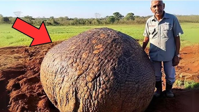 Excavator Busts Open Rock, Had No Idea What He's Done - YouTube