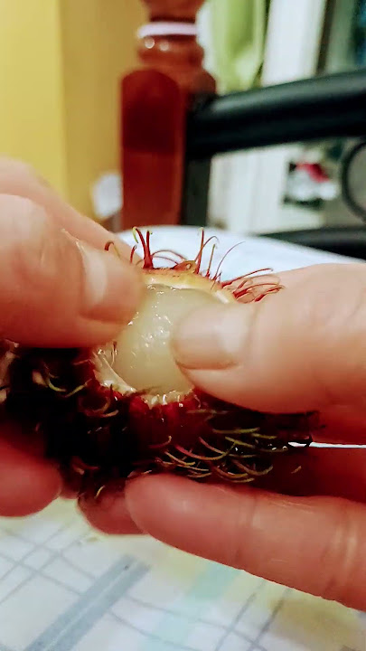 cracking rambutan failed #trending #ytshorts #viralvideos #satisfyling