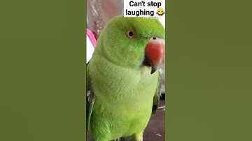 Hey Google, play my song🤣🤣 #funnyvideos  #shorts #viral #ytshorts