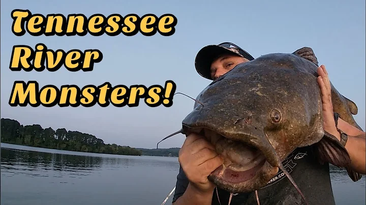 Supersized Flathead & Blue Catfish with Captain Sc...