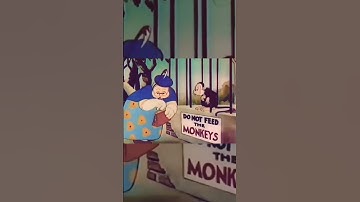 Classic Do Not Feed the Monkeys Cartoon 🐒🎬