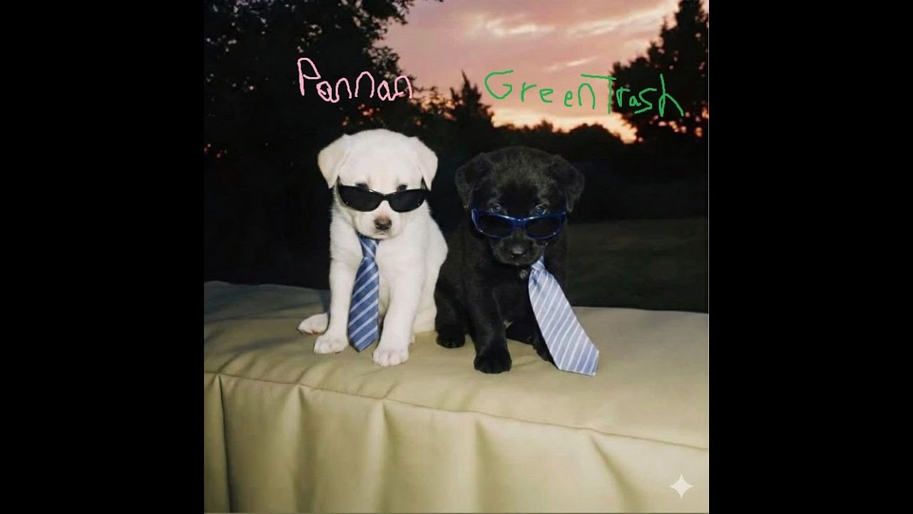 Pannan x Greentrash ┃ FiveM Arena