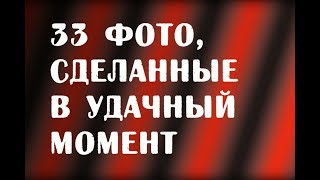 33 фото, сделанные в удачный момент | Слайд-шутка 33 фото, сделанные в удачный момент | Слайд-шутка