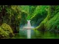 Woodland Waterfalls, Beautiful Relaxing Music, Peaceful Soothing Music by Tim Janis
