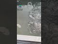 Bubble thawing tank #foodprocessingequipment #foodmachine