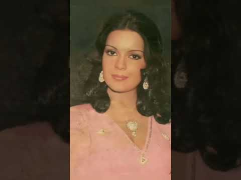 Zeenat Aman Old Pictures Jeenataman Zeenataman Bollywood Viral Reels 