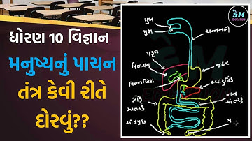 Std 10 science || Chap-6 || મનુષ્યના પાચન અંગોની આકૃતિ દોરો || Part-11 || KM EDUCATION