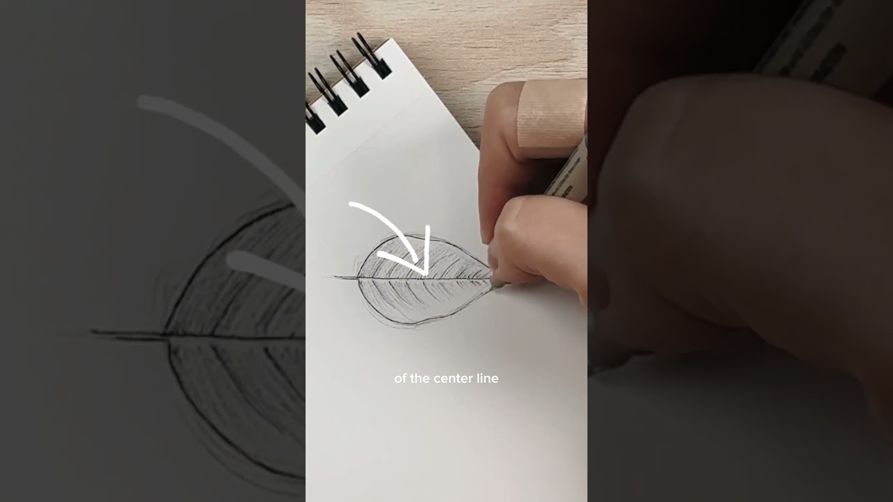 preview_player