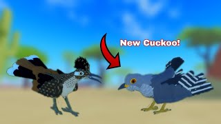 The New Cuckoo and ROADRUNNER Are Finally Here In Feather Family! | Feather Family, Roblox