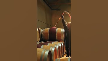 Wine Making Process.