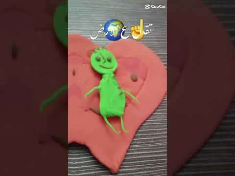 احنا هنفضل كتف في كتف وقلبنا هيبقى في ضهر بعض