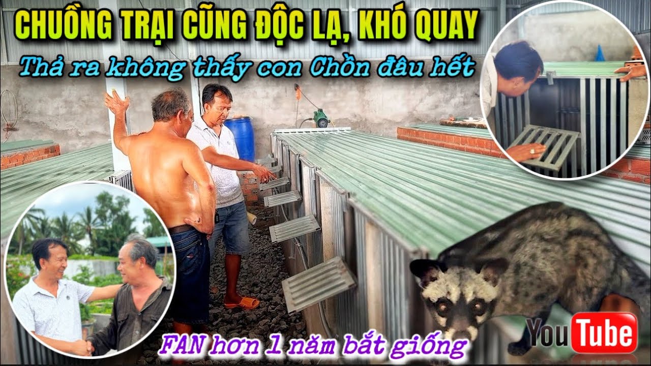 Chuồng trại độc lạ Không gác khiến Cameraman khó quay - Hữu duyên gặp mặt Fan hơn 1 năm (P124)