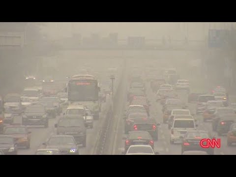 Breathing Polluted Air Makes You Dumber, Study Finds