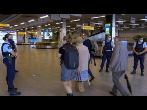 Video: Wat Zijn Hondentrays