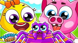 Little Spider Got Lost Song | Funny Kids Songs And Nursery Rhymes by Lamba Lamby
