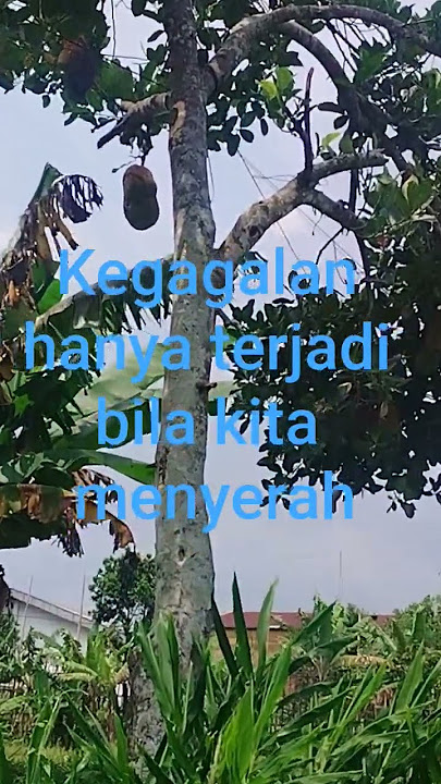 Kegagalan hanya terjadi bila kita menyerah#quote