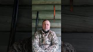 Нет родословной. Алексей Беляков о выдачи разрешения на охоту