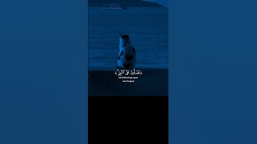 أكثروا من صلاة على النبي في يوم الجمعة #اكسبلور #قرآن #علي_جابر #سورة #الأحزاب #قران_كريم
