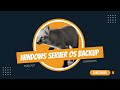 Windows Server OS backup