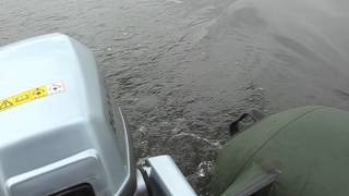 MVI_4662.AVI