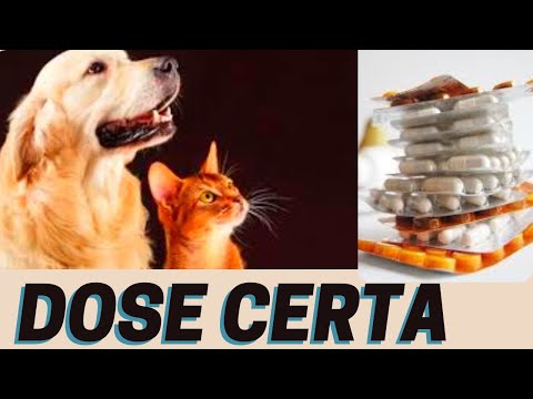 Vídeo: Calculando o peso adulto do seu filhote de cachorro