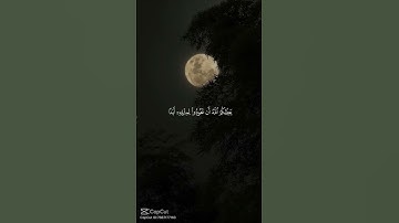 احترم القرآن الكريم دقيقة1 🙏